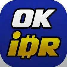 OKIDR - Petualangan Arcade Seru di Ujung Jari Anda
